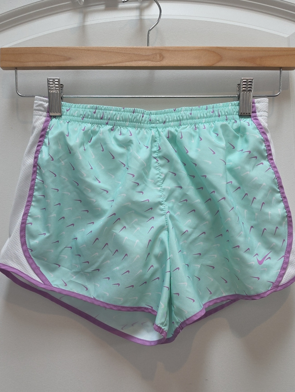 Nike Mint Green Shorts with Lavender Trim